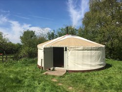 Secondhand 19ft Genuine Mongolian Yurt For Sale