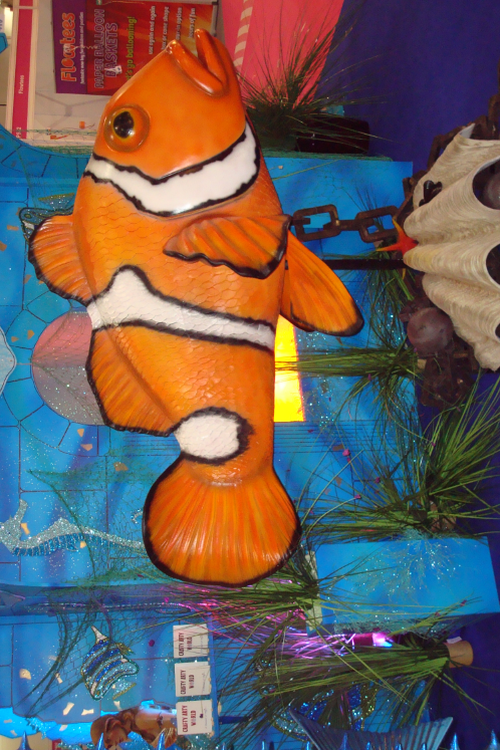 Secondhand Giant Clown Fish For Sale Secondhand Giant Clown Fish For Sale