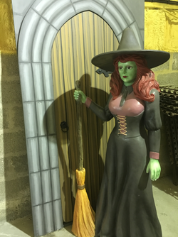 Secondhand Green Witch For Sale