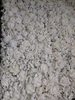 2.5 x 2.5m white and Ivory roses and Hydrangea flower wall panel