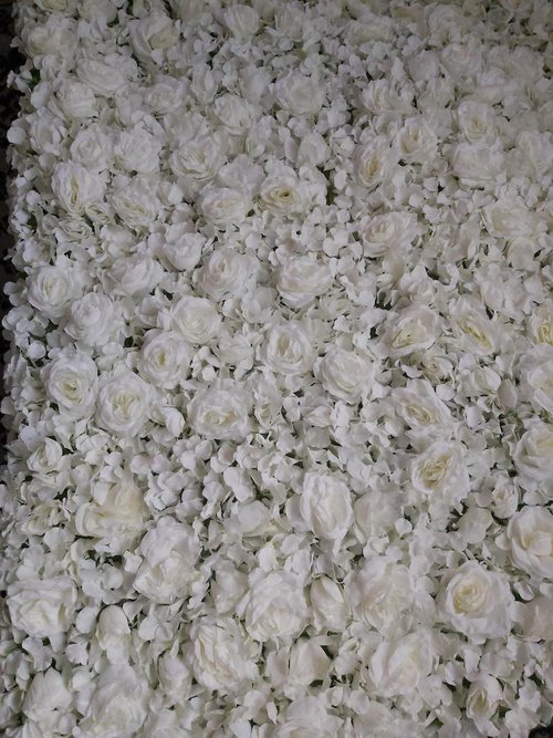 2.5 x 2.5m white and Ivory roses and Hydrangea flower wall panel 2.5 x 2.5m white and Ivory roses and Hydrangea flower wall panel