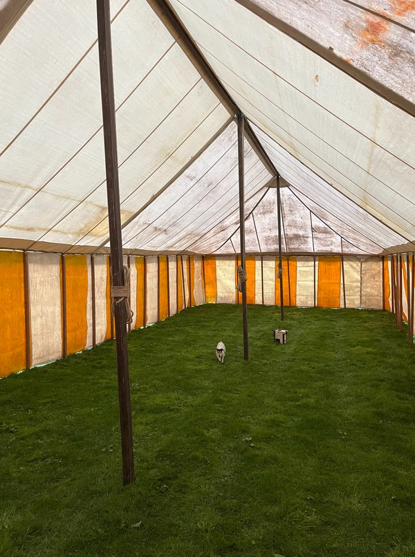 Large Secondhand Traditional Marquee For Sale
