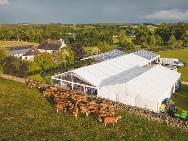 Secondhand 9x42m Custom Covers Clearspan Marquee
