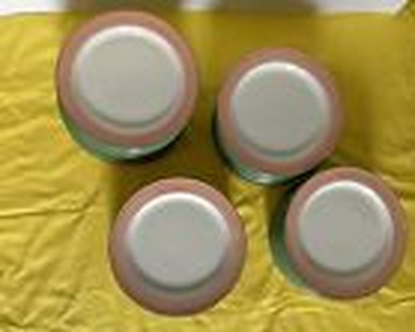 Steelite 25cm Ceramic Plates In Assorted Colours