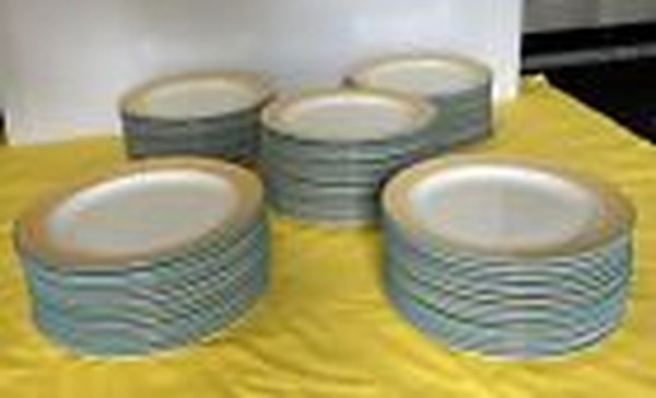 Steelite 25cm Ceramic Plates In Assorted Colours For Sale