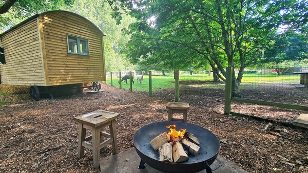 Secondhand Glamping Hut For Sale