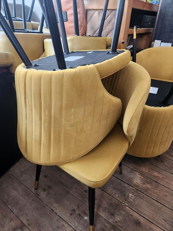 Gold Velvet  Chairs
