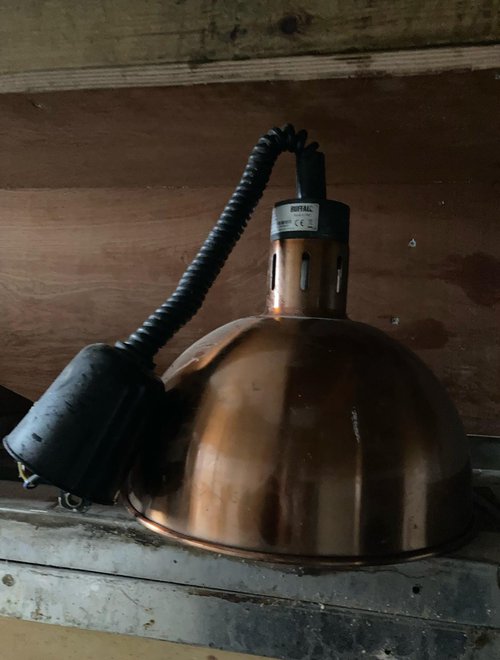 Secondhand 4x Buffalo Heat Lamps For Sale Secondhand 4x Buffalo Heat Lamps For Sale