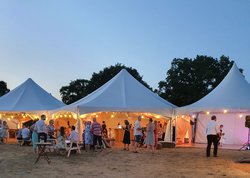 Pagoda marquee venue for sale