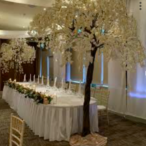 Secondhand 2x 2.8m High Cherry Blossom Trees For Sale Secondhand 2x 2.8m High Cherry Blossom Trees For Sale