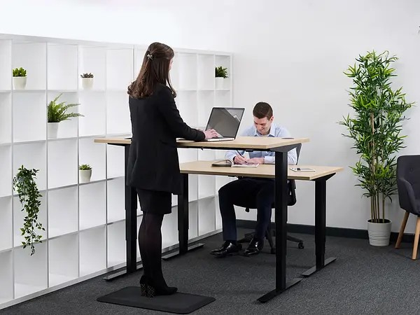 High or low height adjustable desk