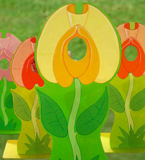 Secondhand Flower Peep Through For Sale Secondhand Flower Peep Through For Sale