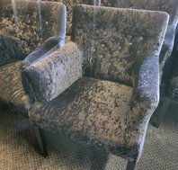 Buy Grey Velvet / Velour Chairs