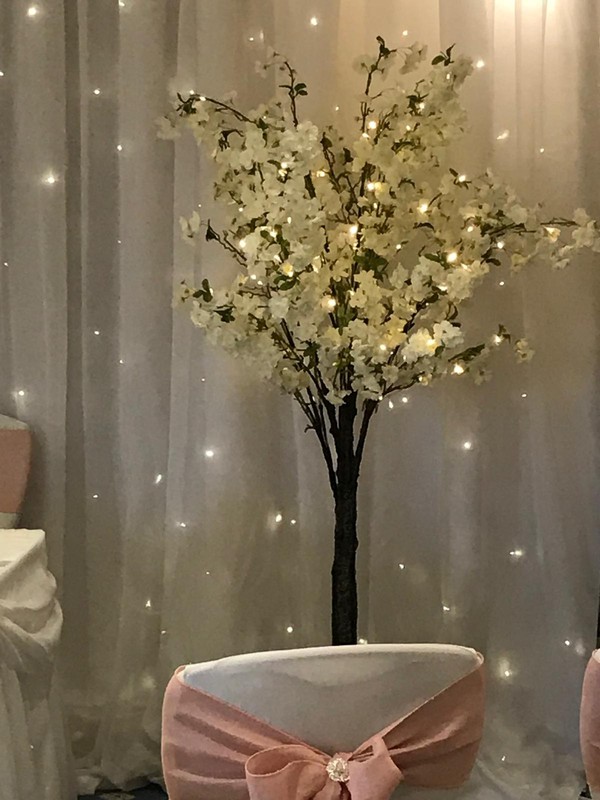 White LED Blossom Trees.