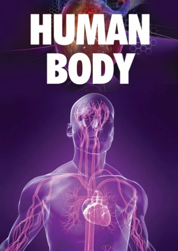 Human Body simulator