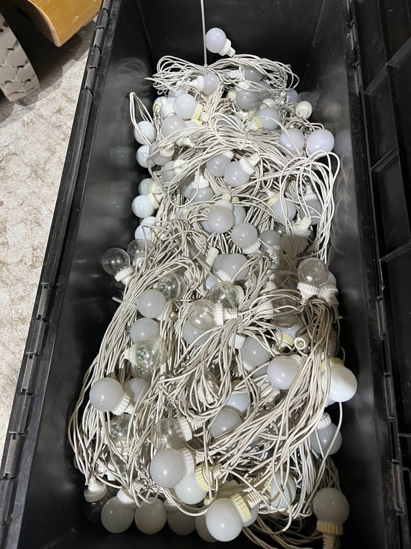 Festoon lights for sale