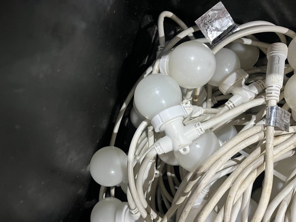 Fixed bulb festoon lighting