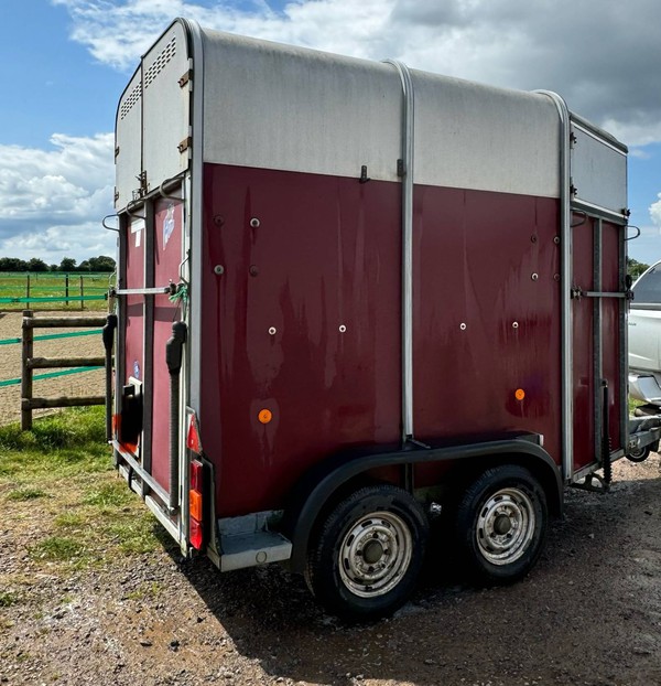 Ifor Williams Horse HB505R