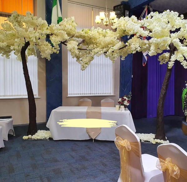 large canopy blossom trees in ivory