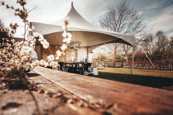 20ft x 20ft marquee with glitter balls