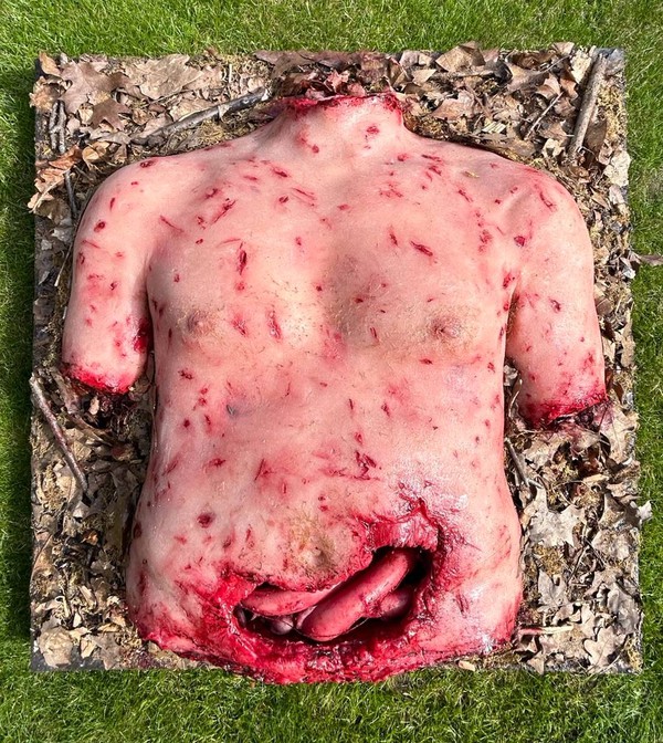 Life Size Severed Human Torso With An Abdominal Wound