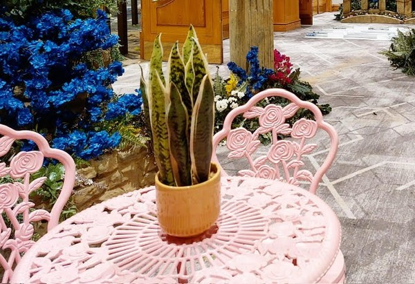 6x Candy Floss Pink Bistro Set For Sale