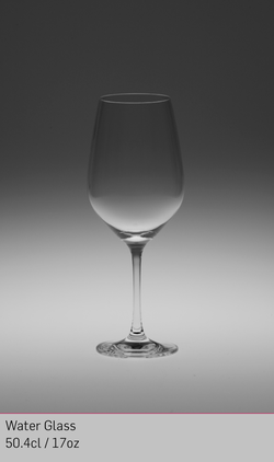 200x Etoile Medium Wine/Water Glass 17oz - VINA Range - Schott Zweisel For Sale