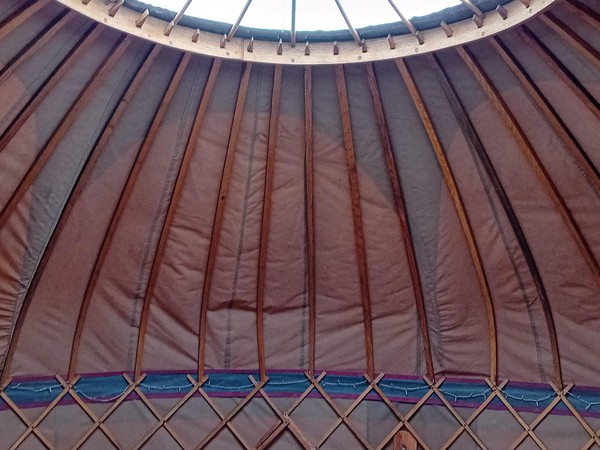 18ft Yurts with Ash Trellis