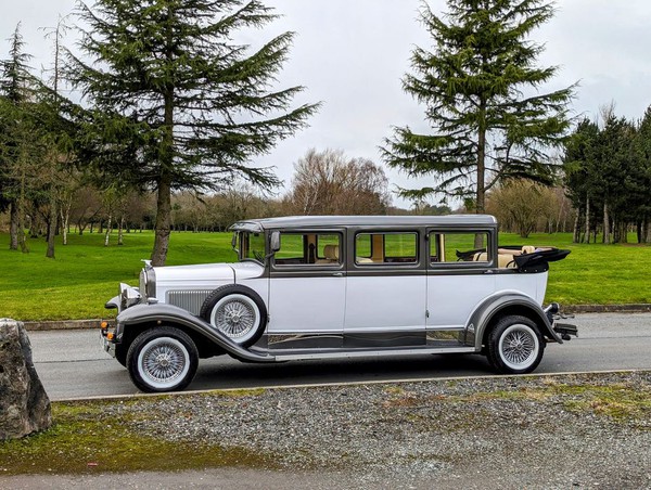 Bramwith Limousine for sale