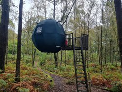 Secondhand 2x Tree Tent Glamping Pod For Sale