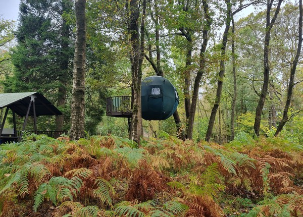 2x Tree Tent Glamping Pod For Sale