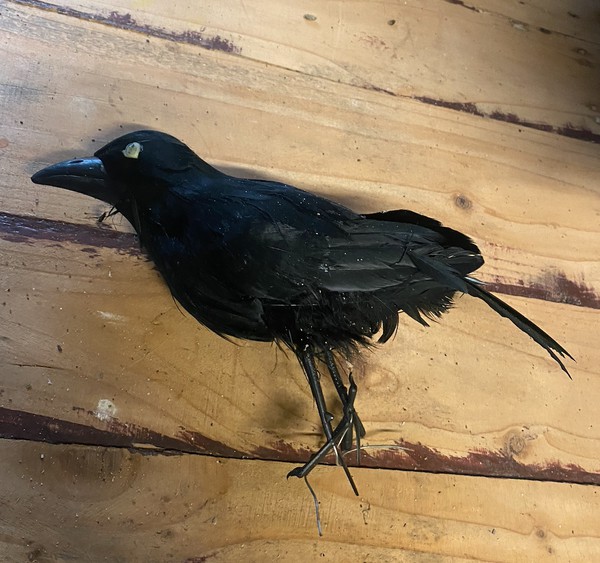 Bird prop for sale