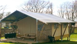 Safari Tents for sale