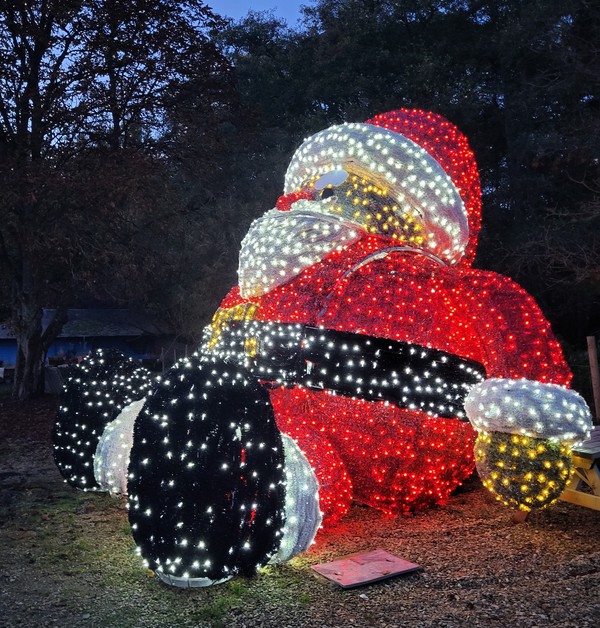 Secondhand 5m x 5m Light Up Santa Sculpture