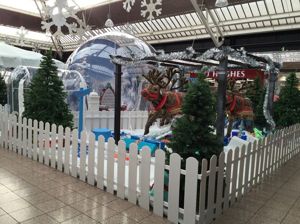 Christmas Display Business