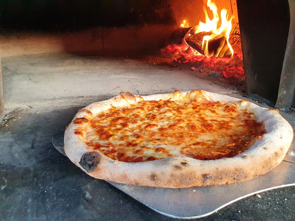 Used Secondhand Mobile Wood-Fired Pizza Catering Business