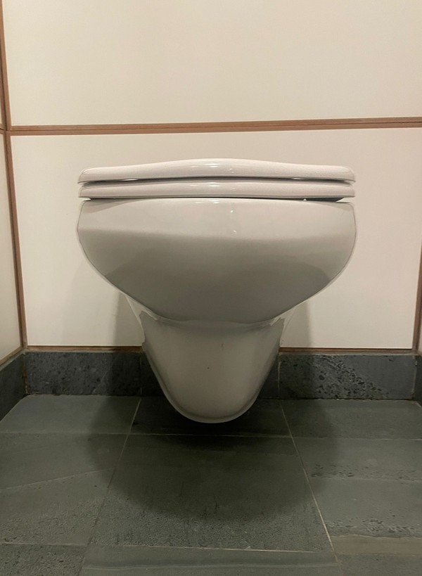 427x Armitage Shanks Toilet