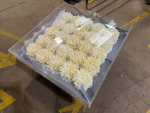 Perspex Coffee Table With Flowers For Sale Perspex Coffee Table With Flowers For Sale