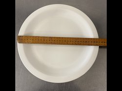 50x Churchill White Dinner Plate For Sale