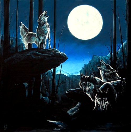 In The Wilderness Theme Prop Package For Sale In The Wilderness Theme Prop Package For Sale