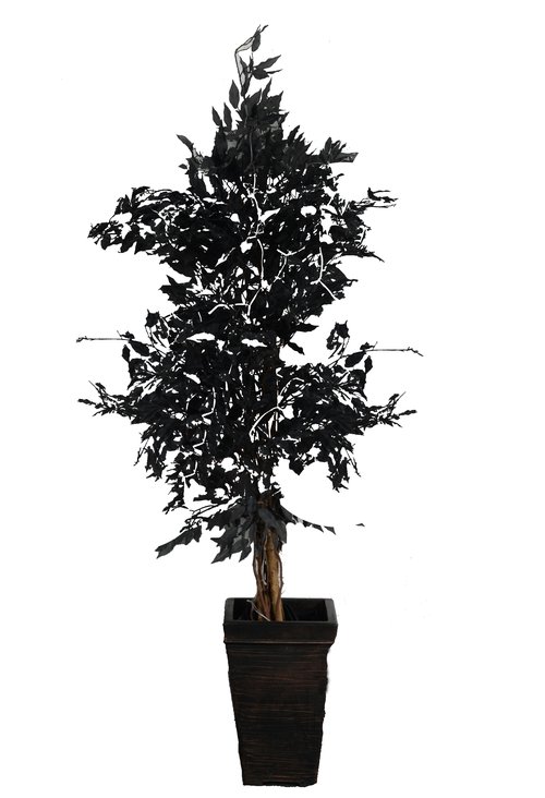 Artificial Black Ficus Trees Bundle For Sale Artificial Black Ficus Trees Bundle For Sale