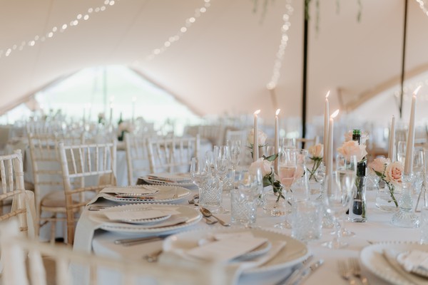 Wedding stretch tents hire business for sale