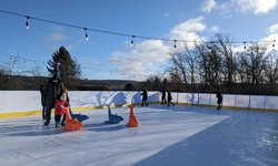 Secondhand High Quality Synthetic Rink For Sale