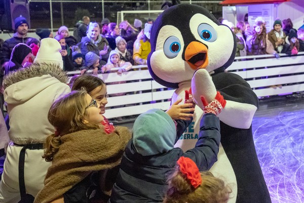 Second Hand Ice rink