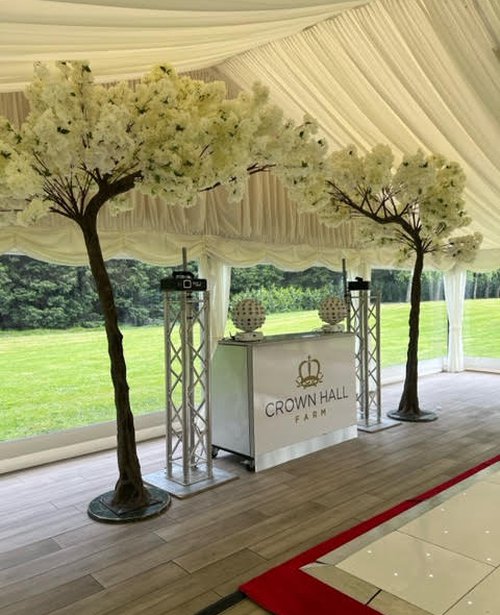 2x Ivory Blossom Canopy For Sale 2x Ivory Blossom Canopy For Sale
