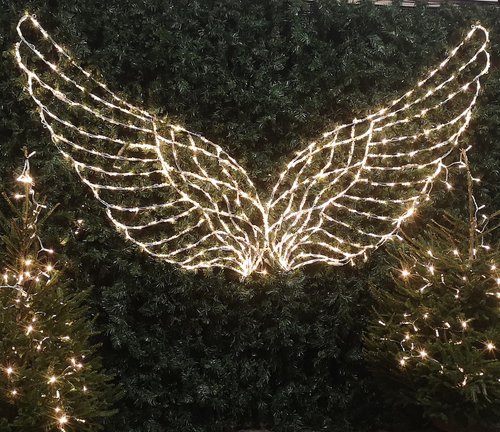 Angel Wings for Selfie Opportunity Angel Wings for Selfie Opportunity