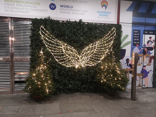 Light Up Angel Wings