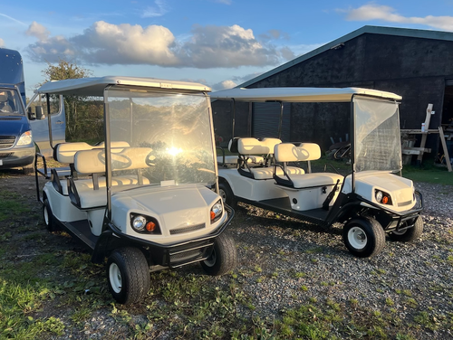 Pair of Golf Buggies Pair of Golf Buggies