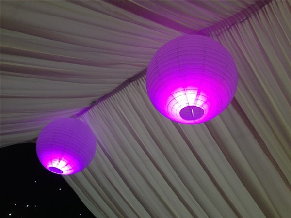 20x 16A - 240v Bayonet Pendant Lamp Holders - Kent 4