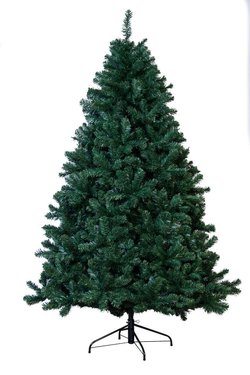 Arbor Vitae Fir Christmas Trees